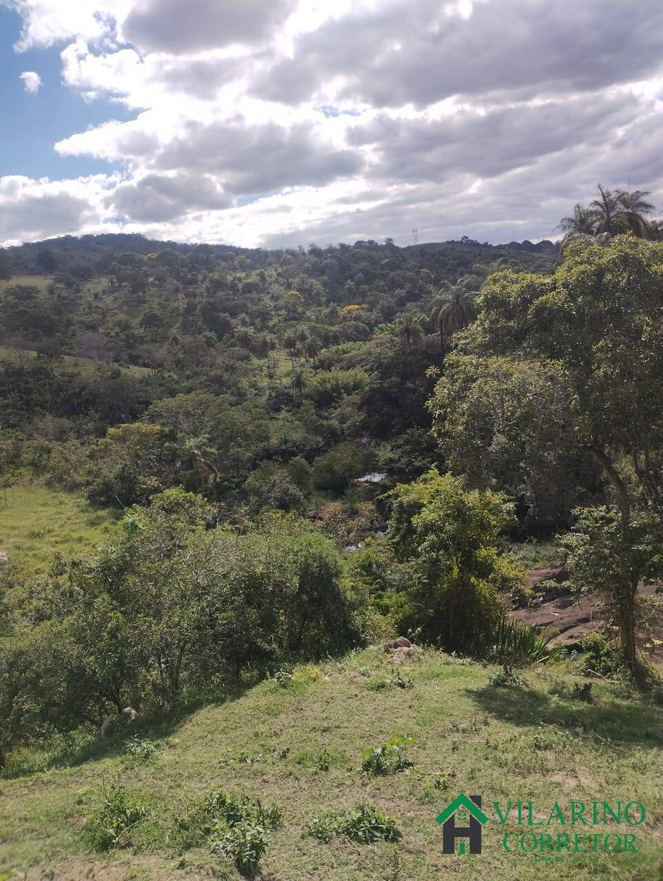 Fazenda, 97 hectares - Foto 47