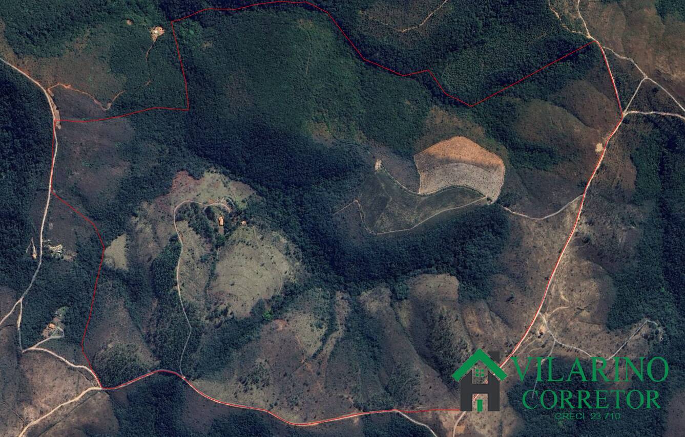 Fazenda-Sítio-Chácara, 240 hectares - Foto 4