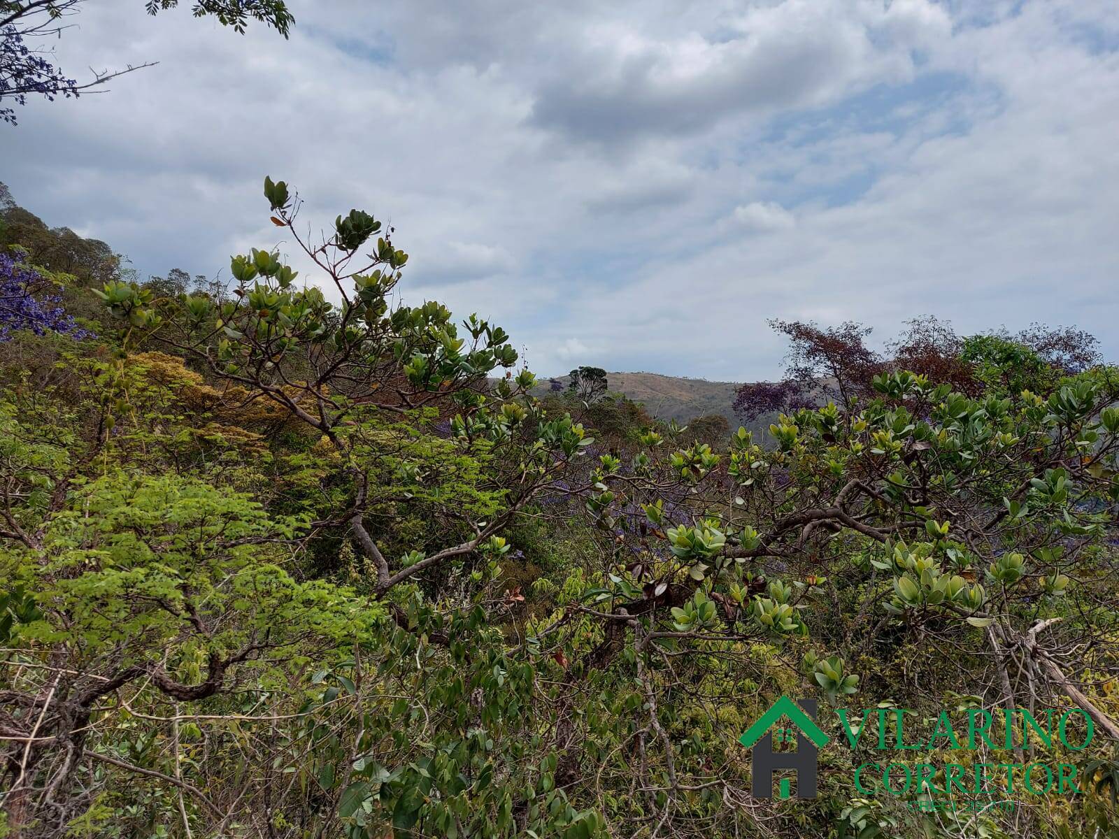 Terreno, 7 m² - Foto 3