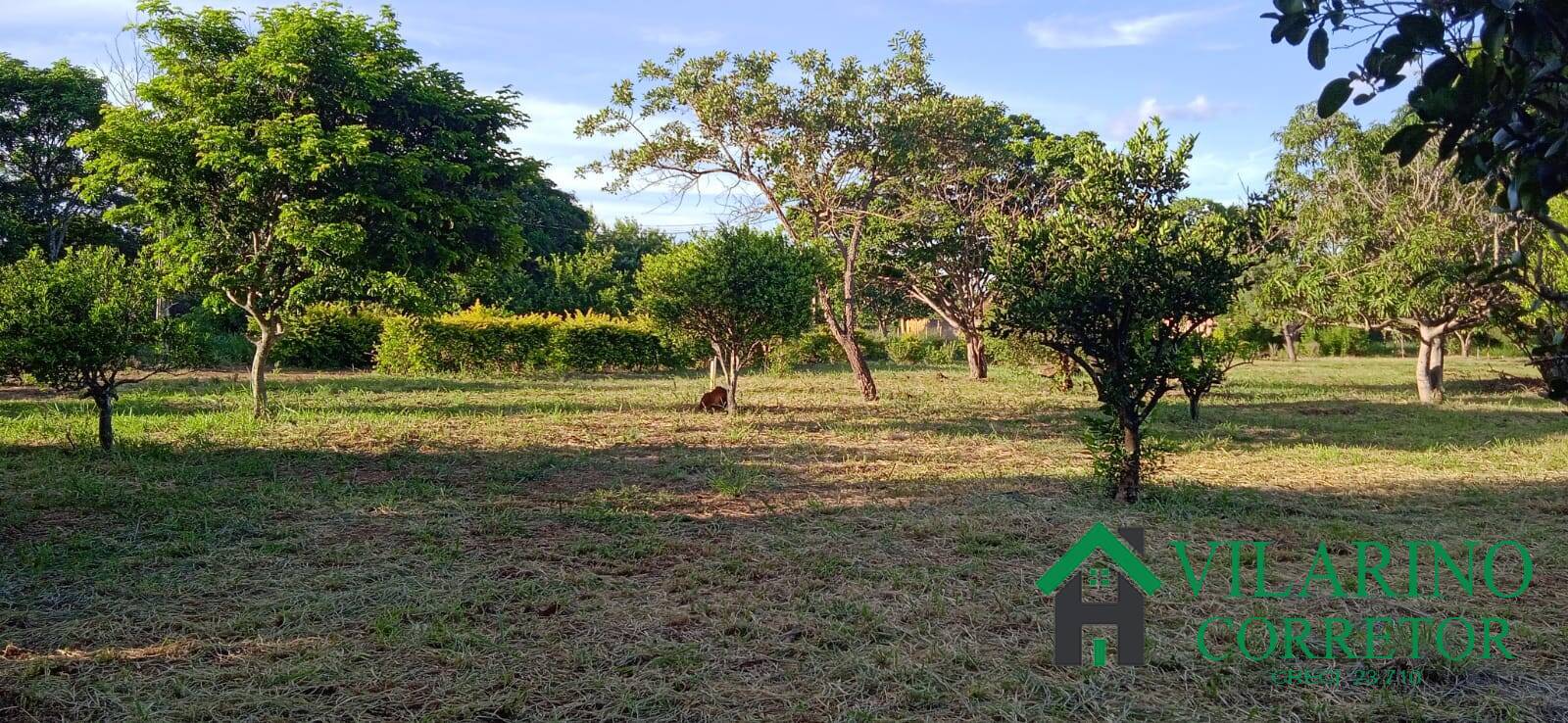 Sítio, 3 quartos, 2 hectares - Foto 22