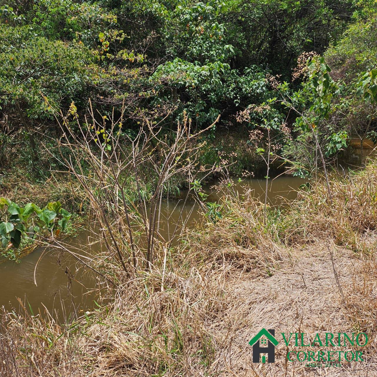 Sítio, 3 quartos, 3 hectares - Foto 13