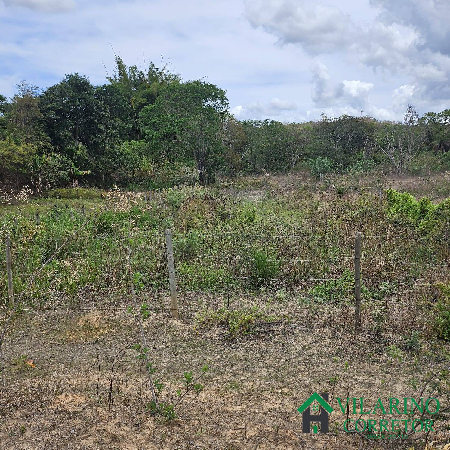 Sítio, 3 quartos, 3 hectares - Foto 15