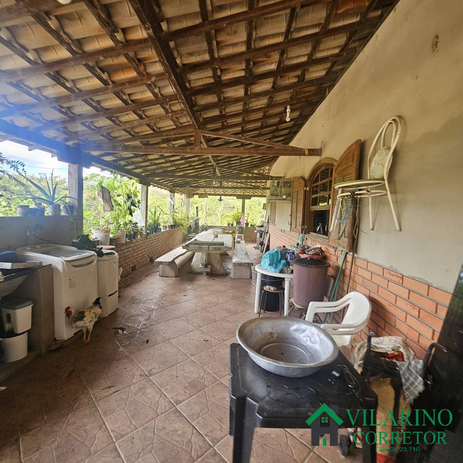 Sítio, 3 quartos, 3 hectares - Foto 14