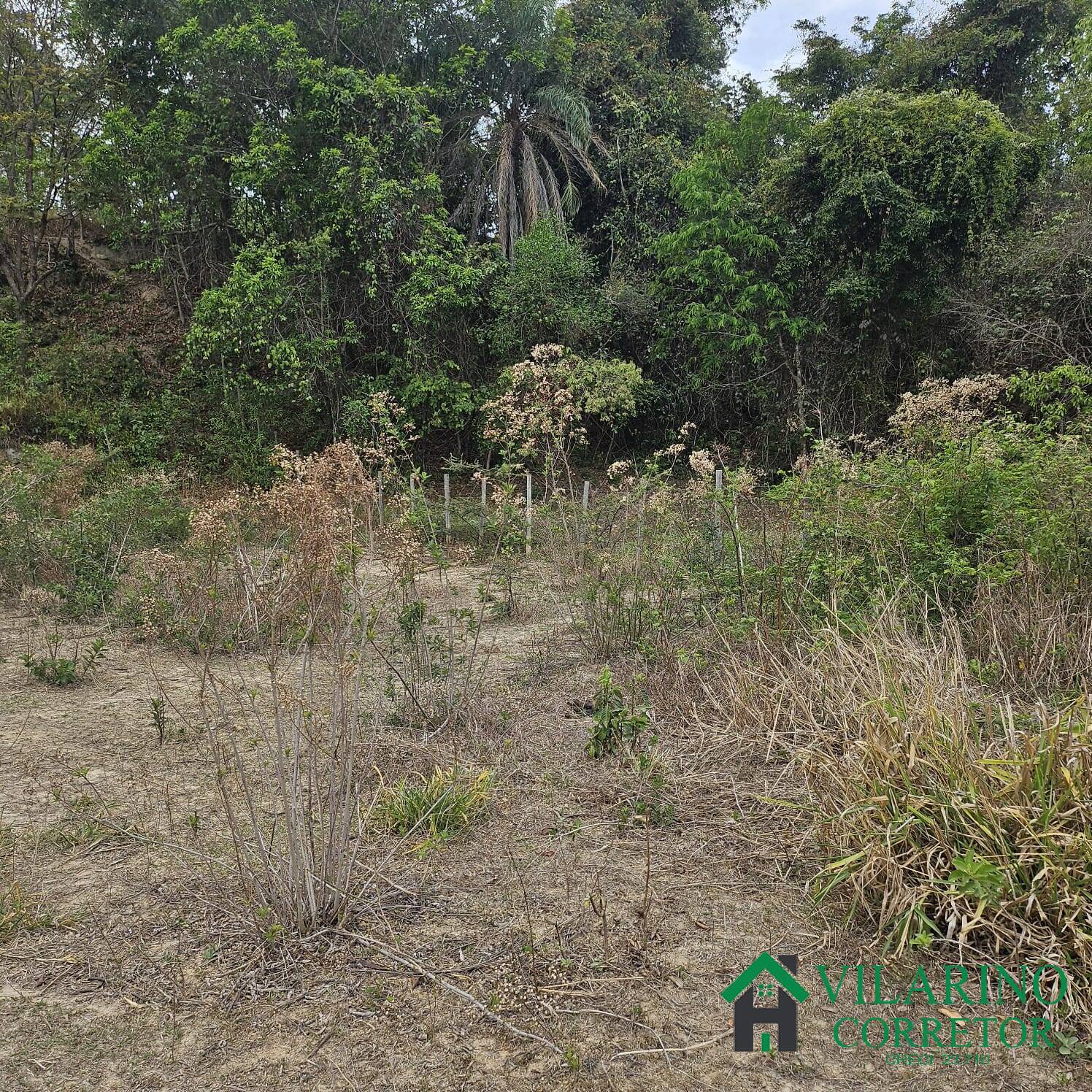 Sítio, 3 quartos, 3 hectares - Foto 16