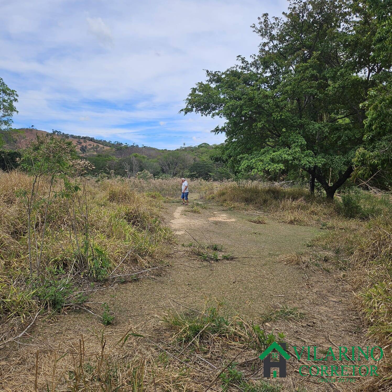 Sítio, 3 quartos, 3 hectares - Foto 18