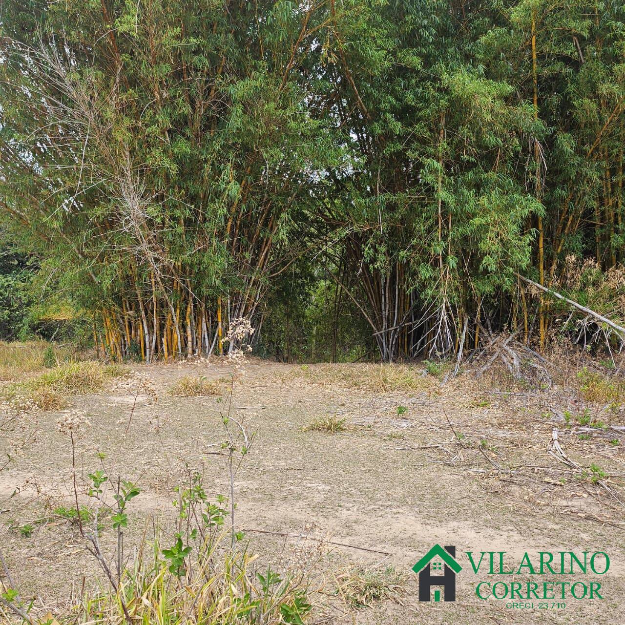 Sítio, 3 quartos, 3 hectares - Foto 20