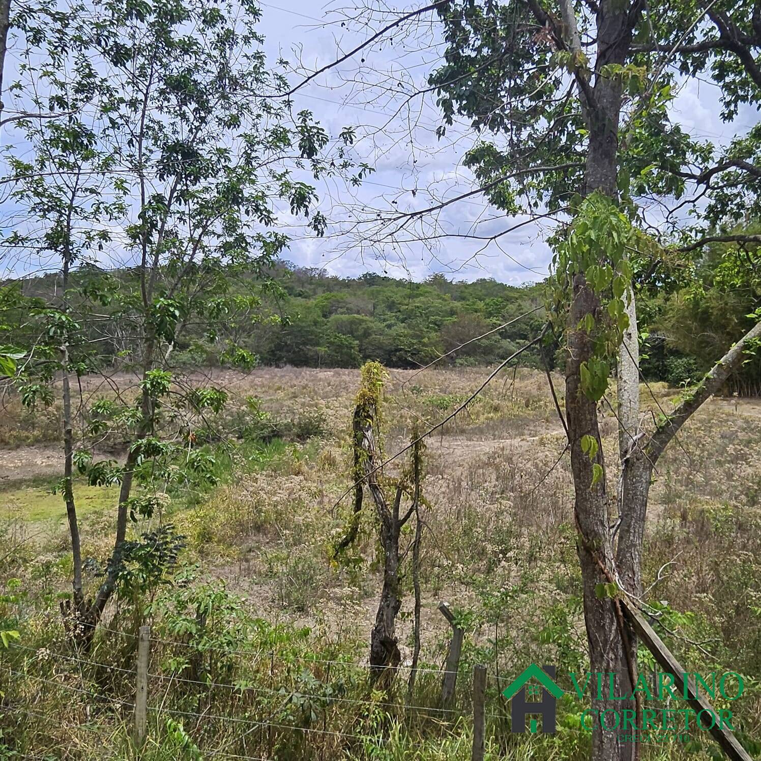 Sítio, 3 quartos, 3 hectares - Foto 21