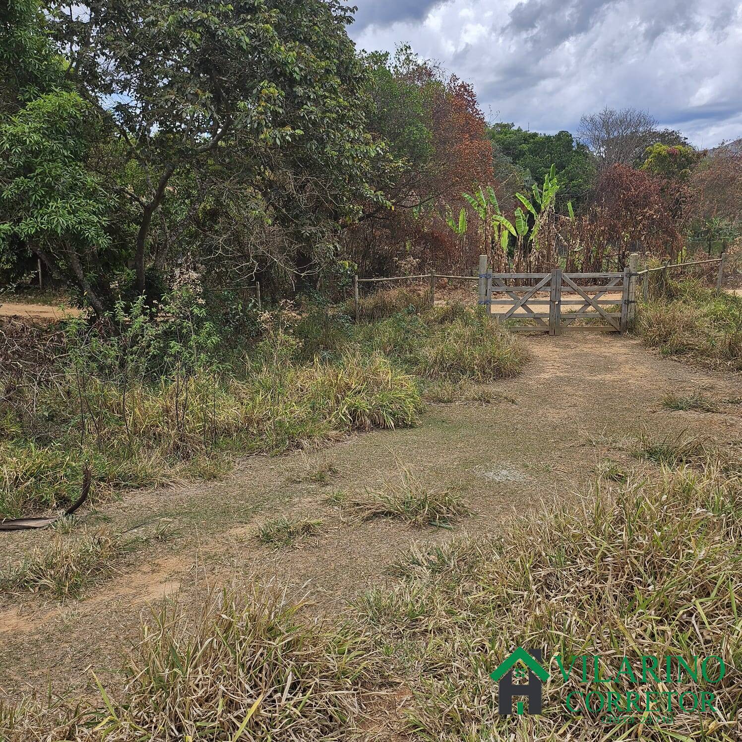 Sítio, 3 quartos, 3 hectares - Foto 22