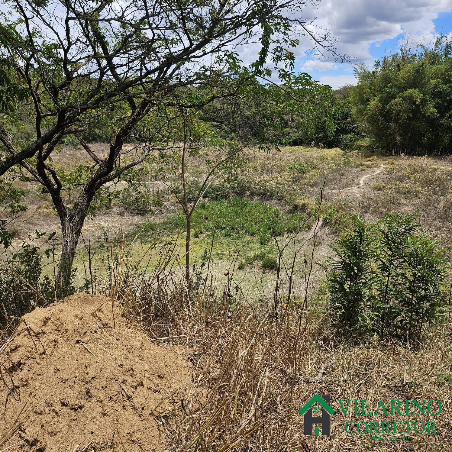 Sítio, 3 quartos, 3 hectares - Foto 23