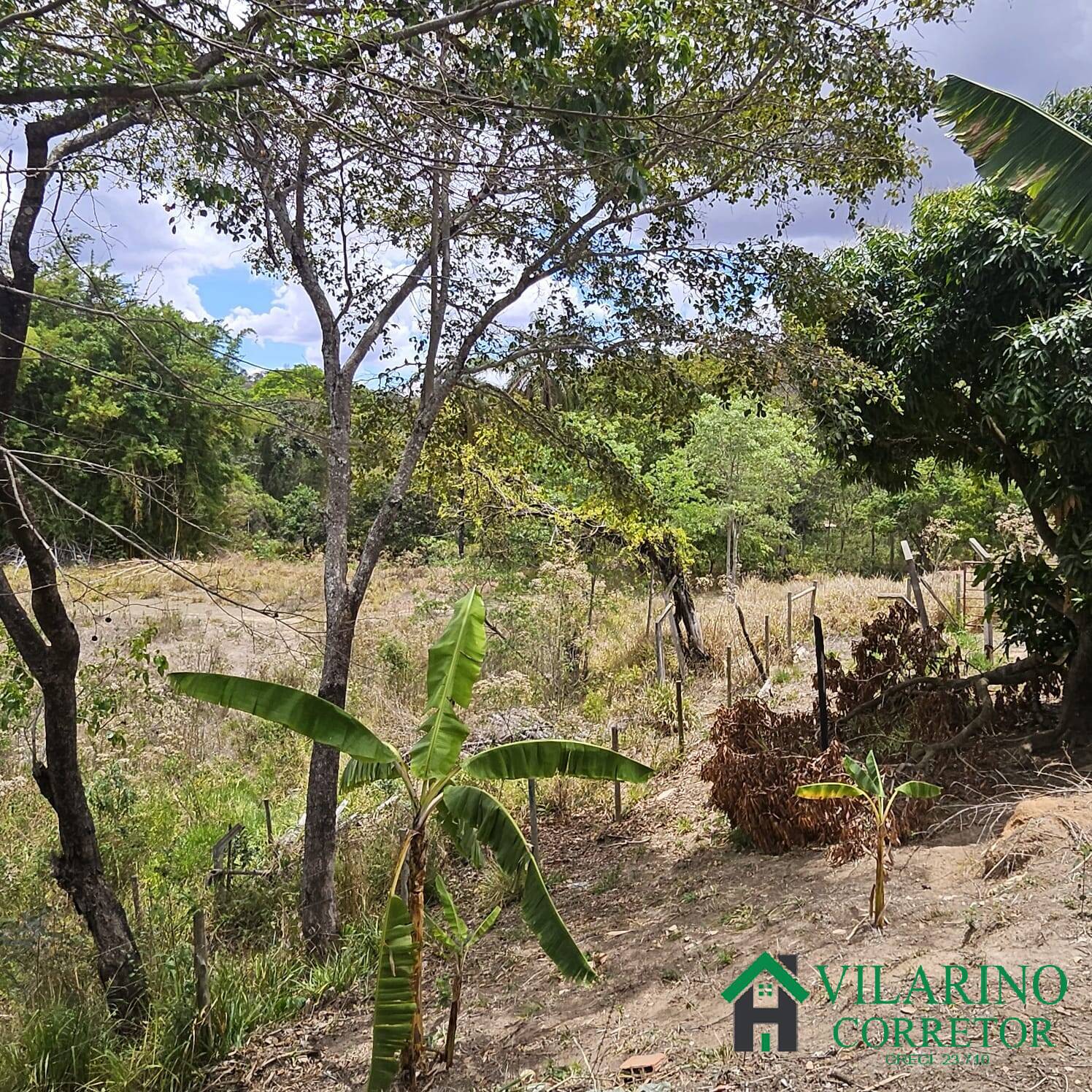 Sítio, 3 quartos, 3 hectares - Foto 24