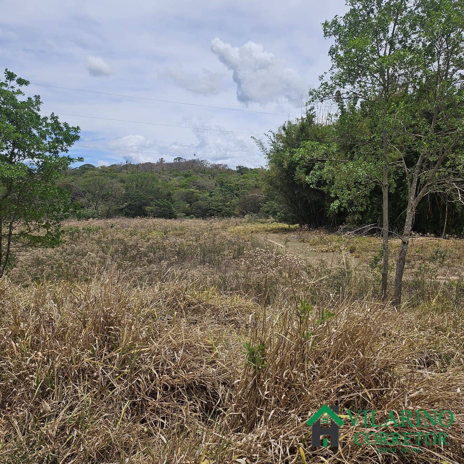 Sítio, 3 quartos, 3 hectares - Foto 28