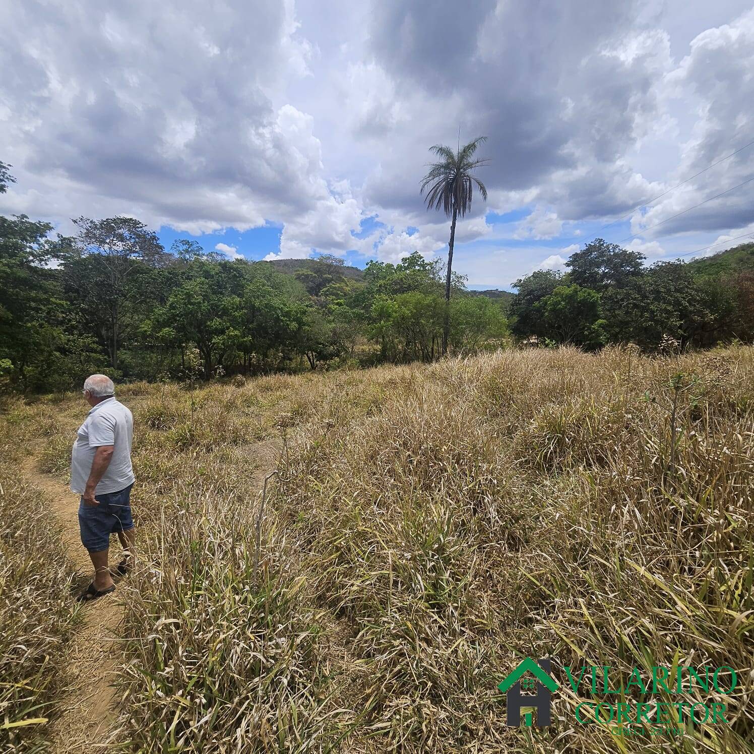 Sítio, 3 quartos, 3 hectares - Foto 29