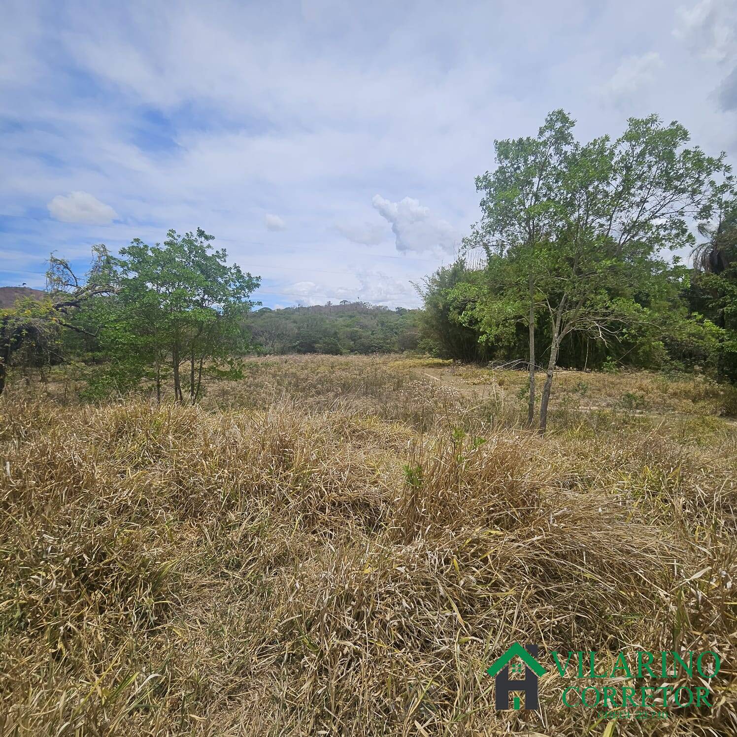 Sítio, 3 quartos, 3 hectares - Foto 30