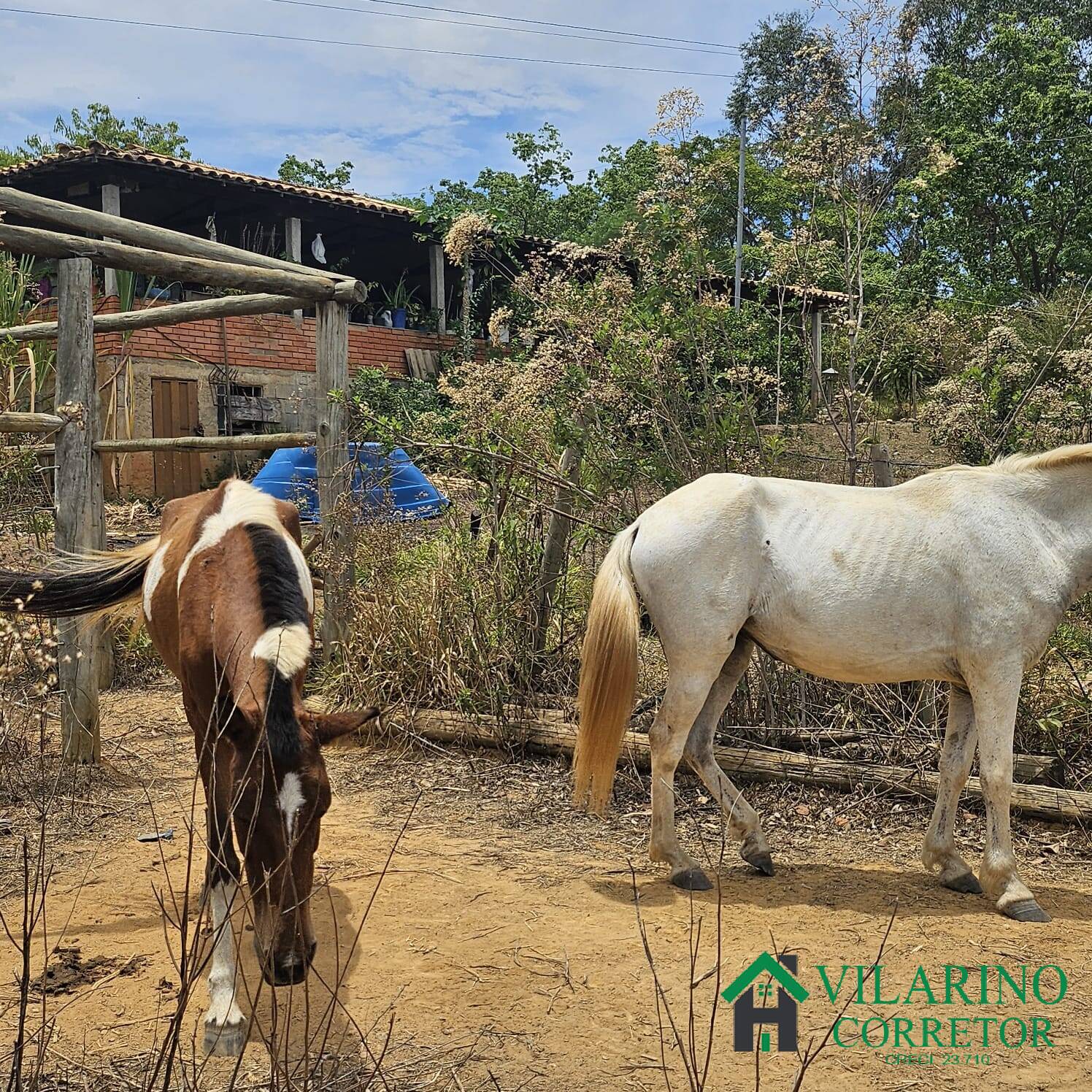 Sítio, 3 quartos, 3 hectares - Foto 32