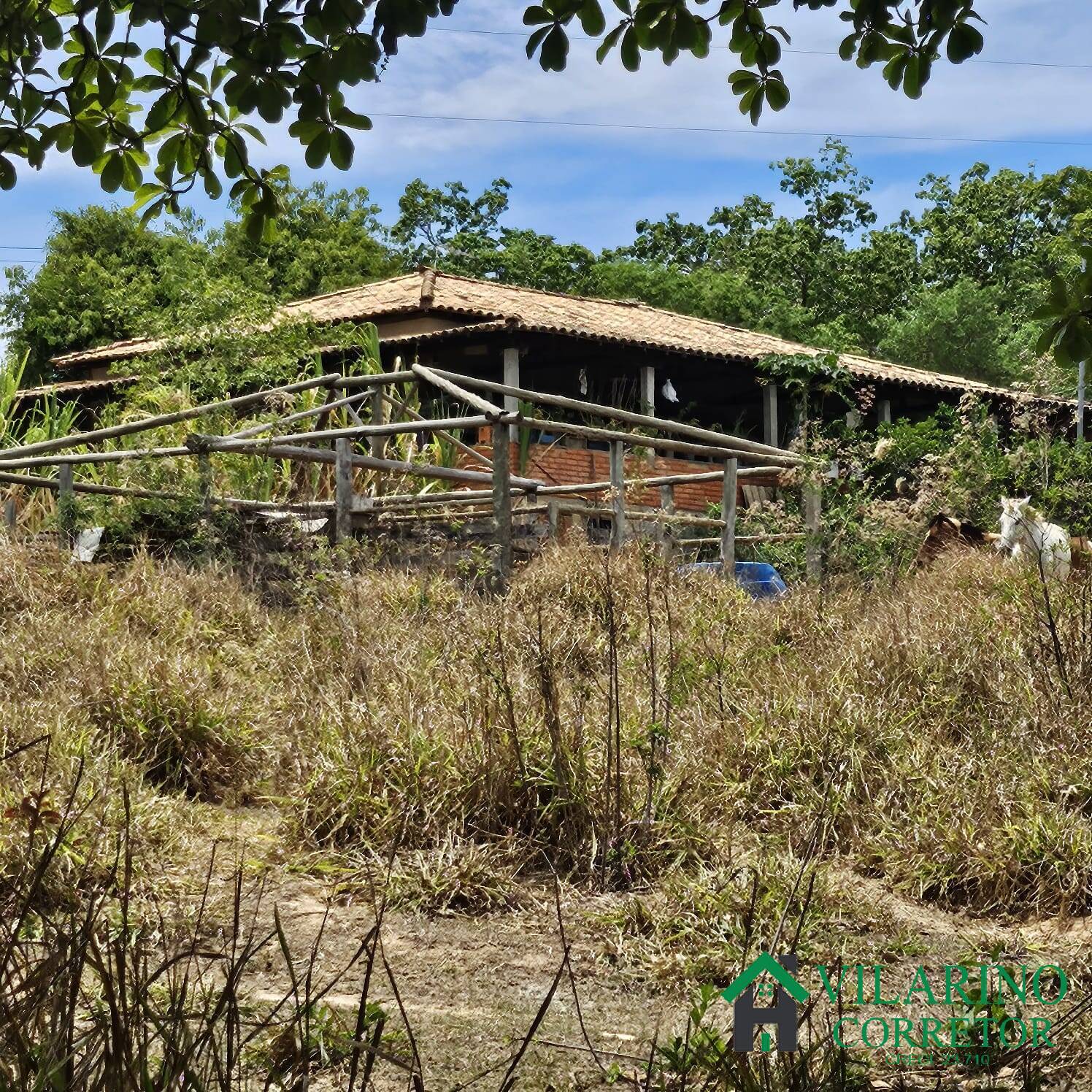 Sítio, 3 quartos, 3 hectares - Foto 33