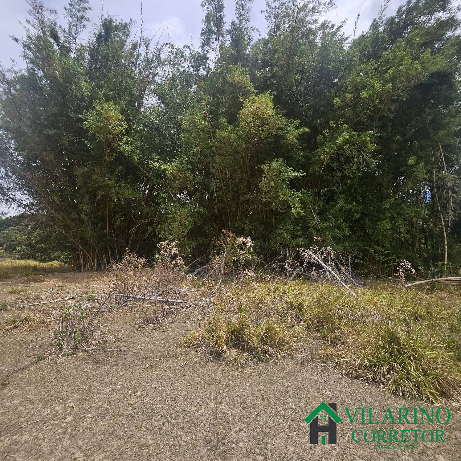 Sítio, 3 quartos, 3 hectares - Foto 34