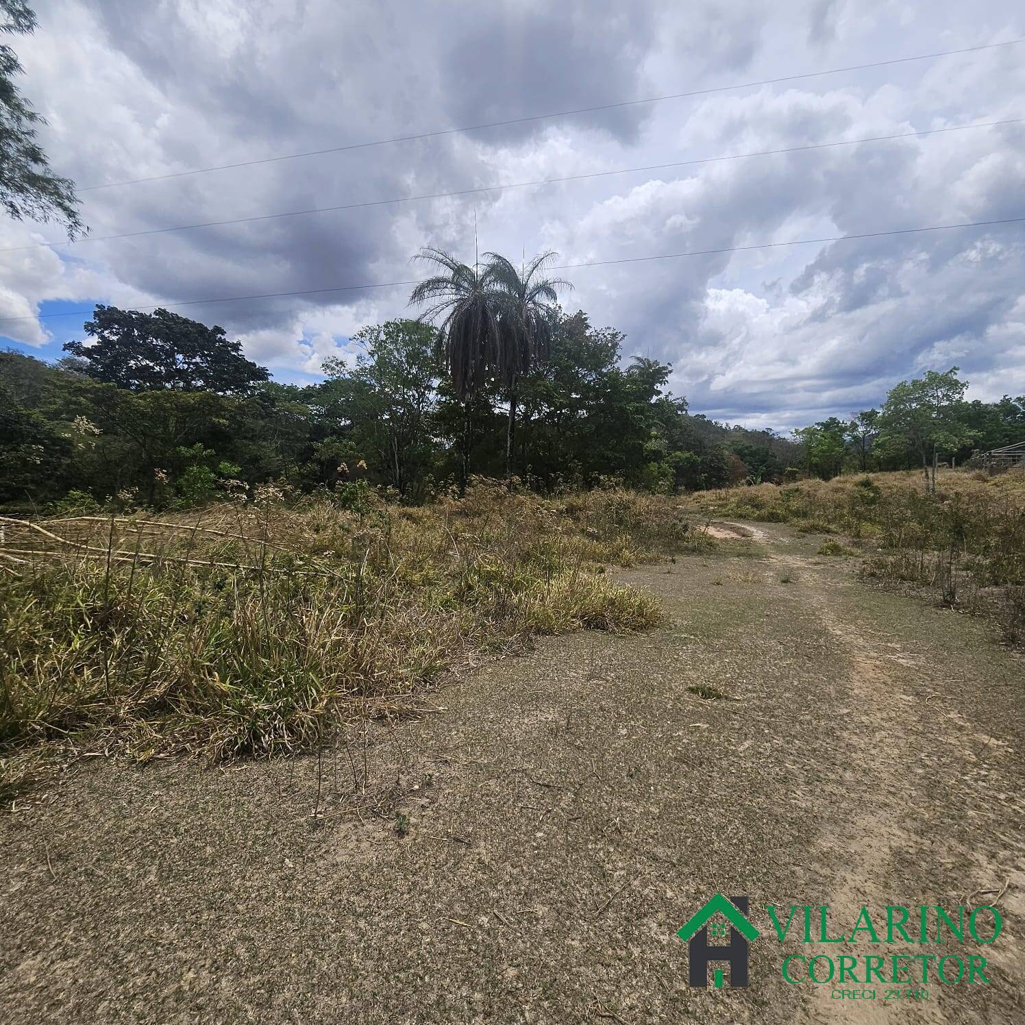 Sítio, 3 quartos, 3 hectares - Foto 35