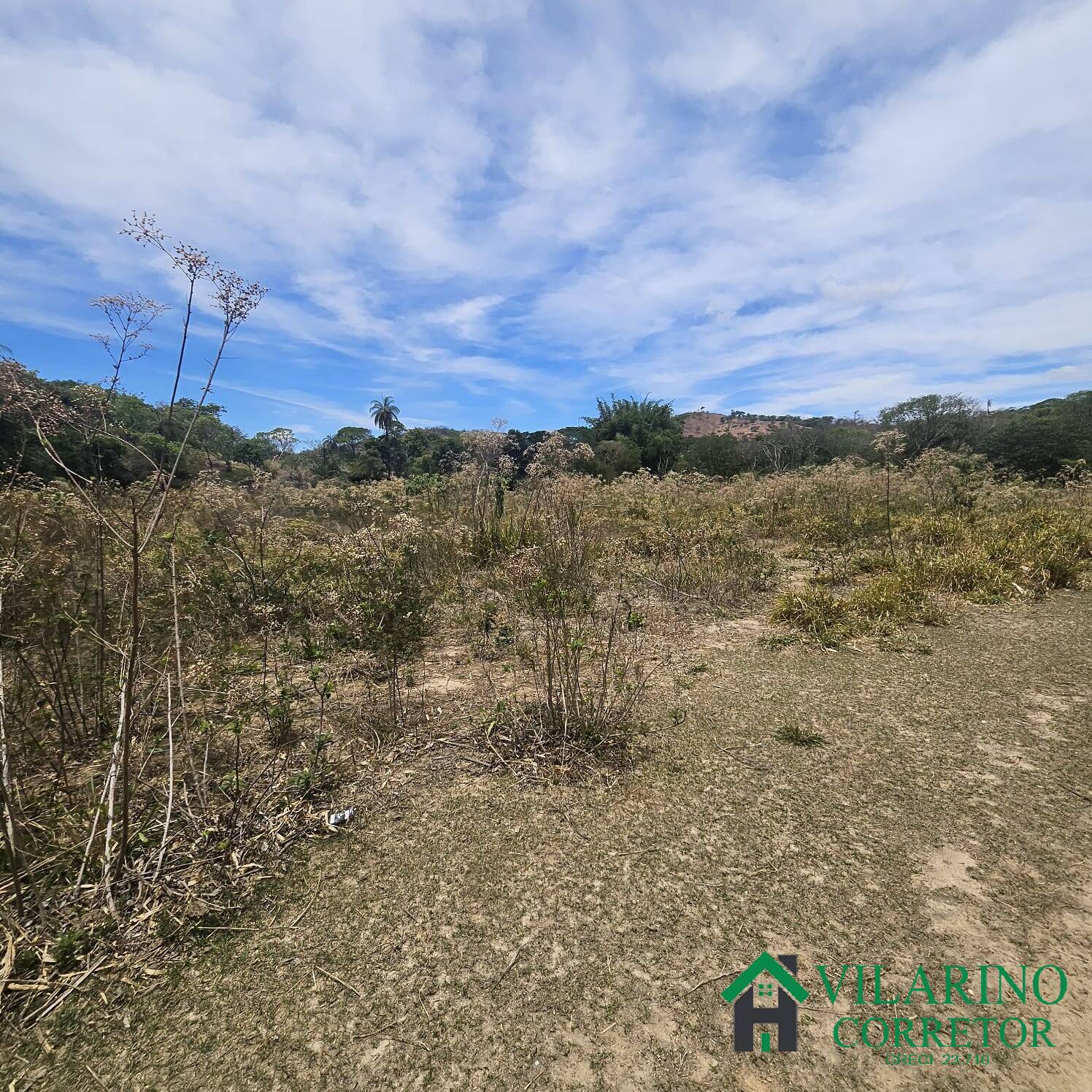 Sítio, 3 quartos, 3 hectares - Foto 36