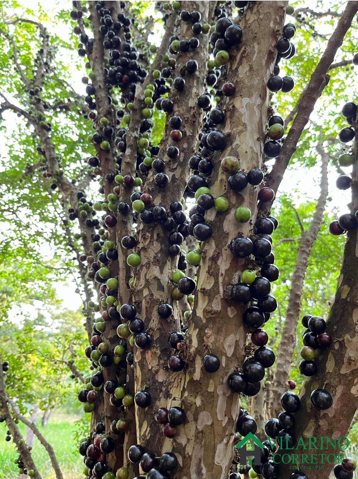 Fazenda, 107 m² - Foto 24