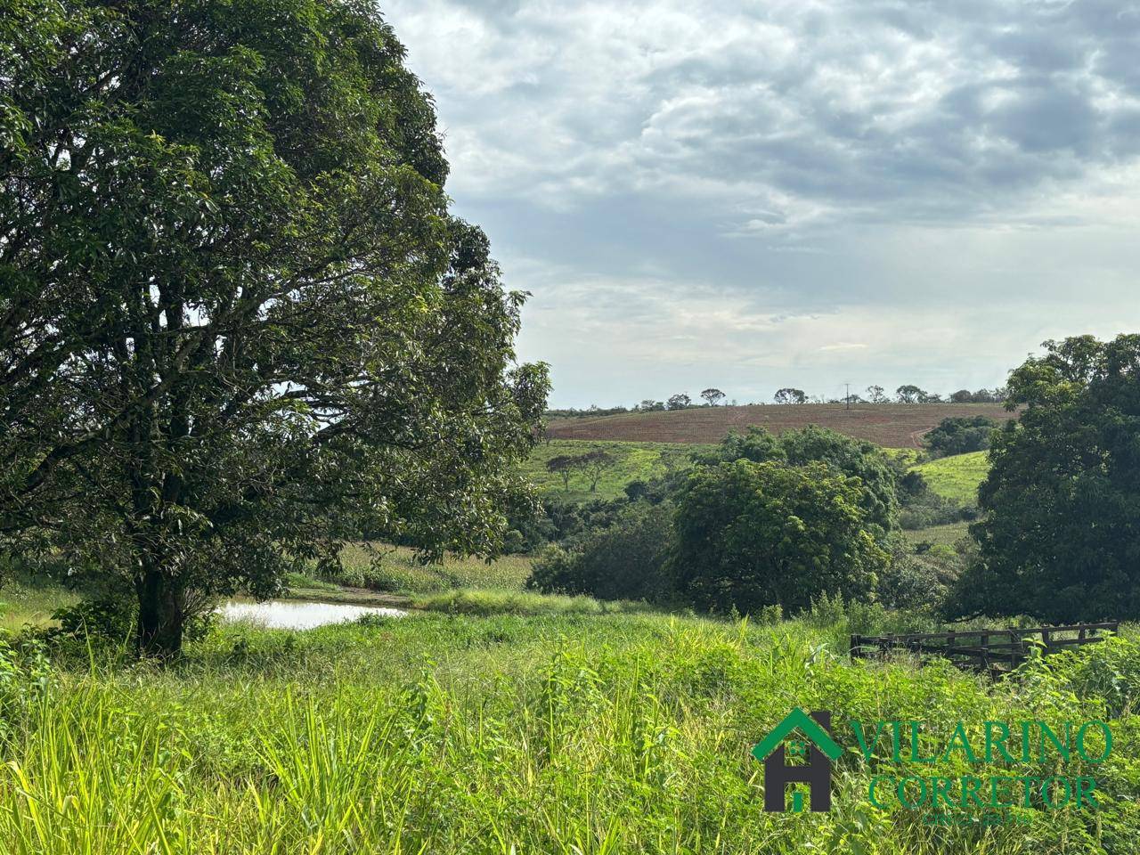 Fazenda, 73 hectares - Foto 17