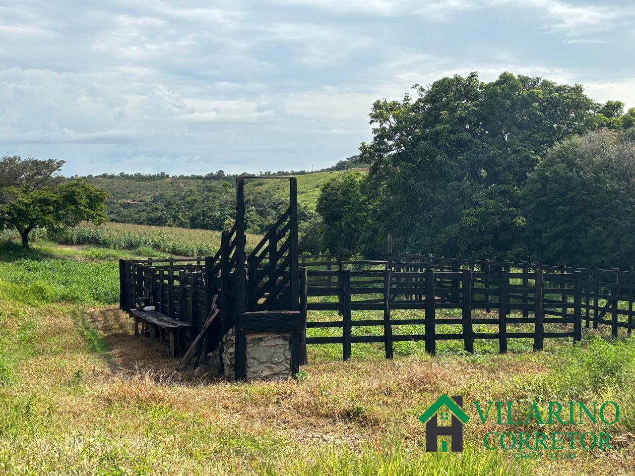 Fazenda, 73 hectares - Foto 19