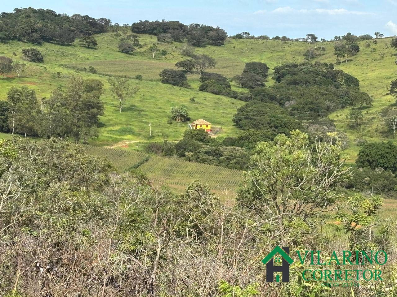 Fazenda, 73 hectares - Foto 28