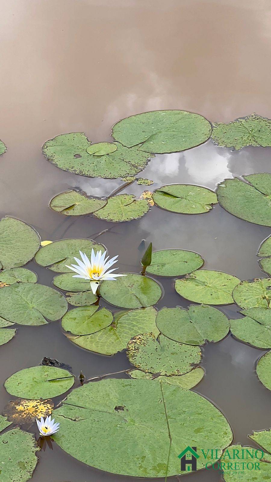 Terreno, 1000 m² - Foto 25