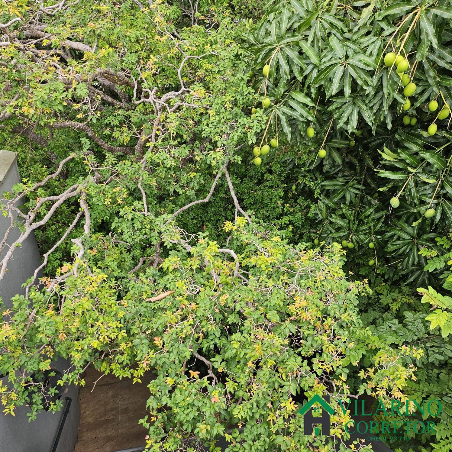 Casa, 6 quartos, 280 m² - Foto 34