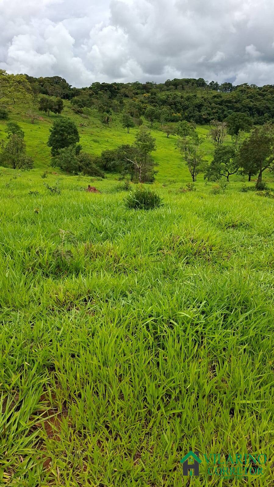 Terreno, 30 m² - Foto 3