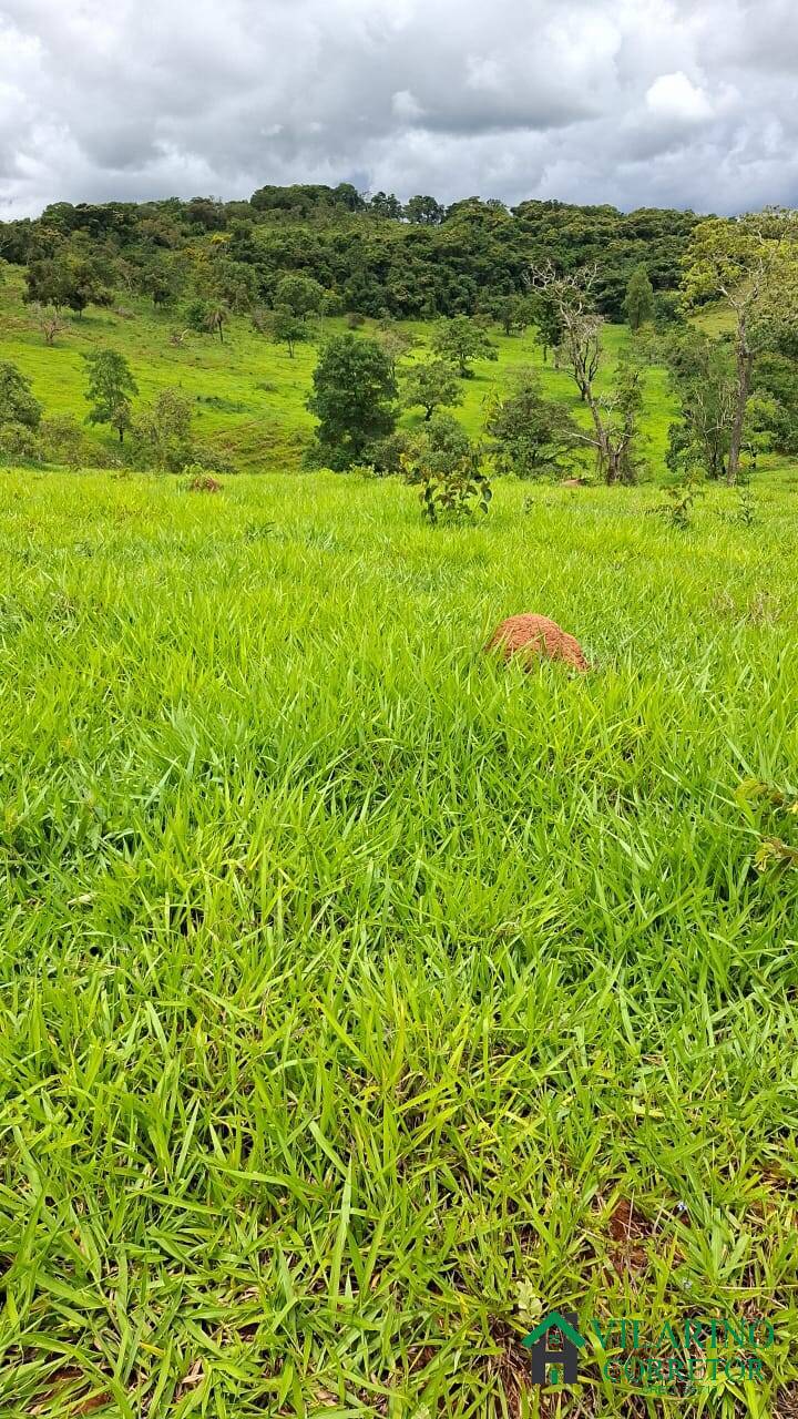 Terreno, 30 m² - Foto 5