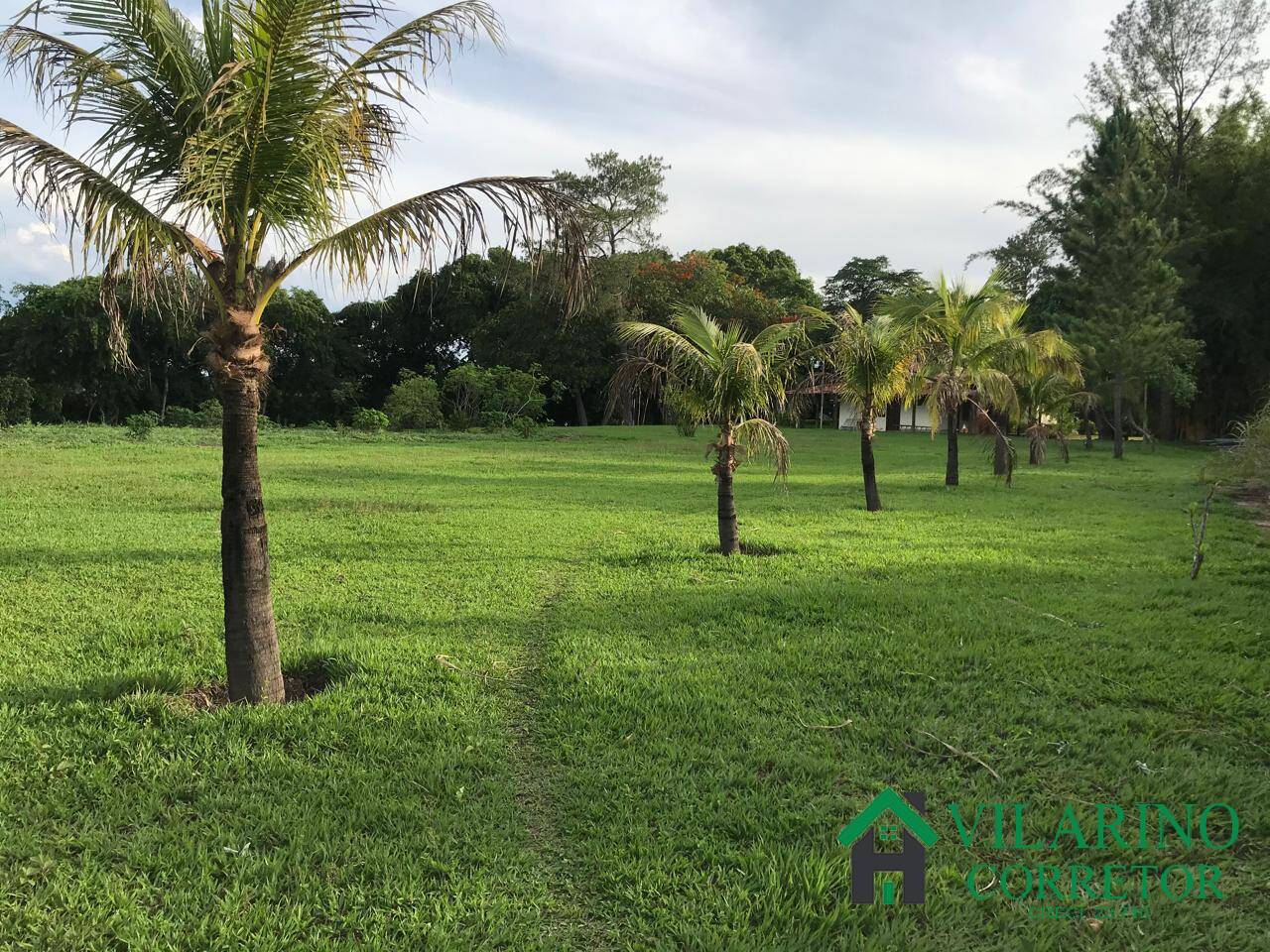 Fazenda, 847 hectares - Foto 16