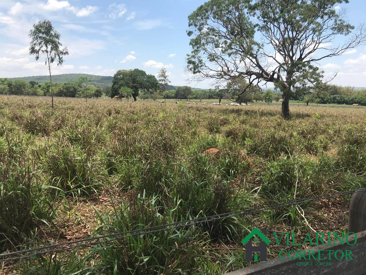 Fazenda, 847 hectares - Foto 17