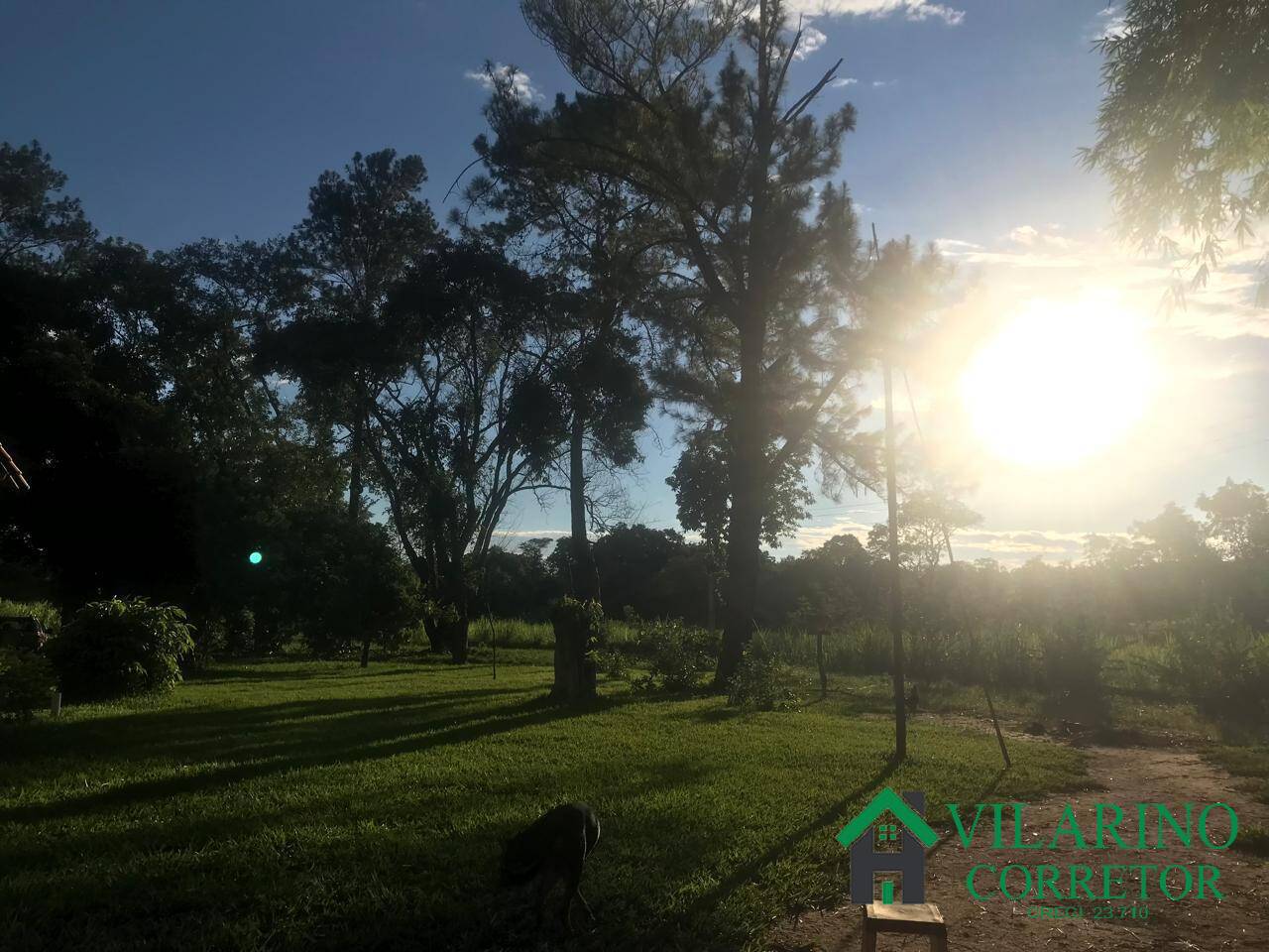 Fazenda, 847 hectares - Foto 27