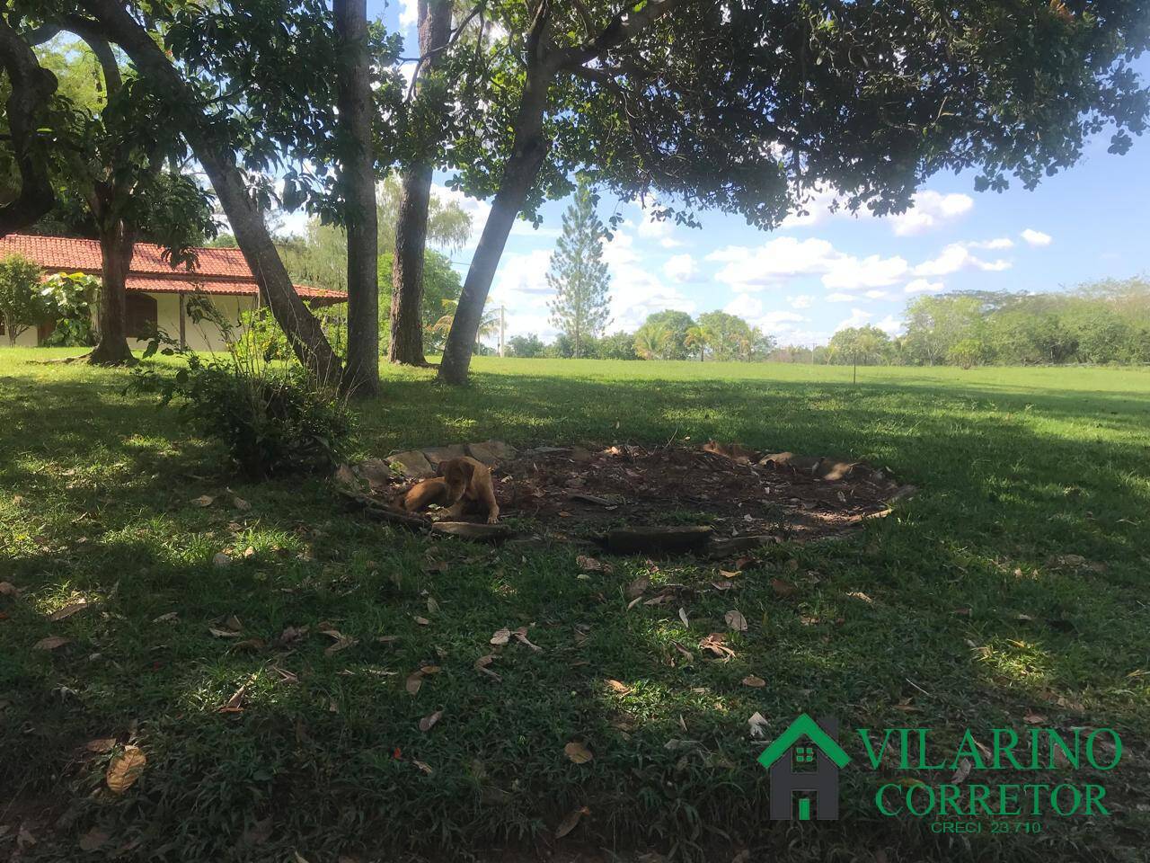 Fazenda, 847 hectares - Foto 35