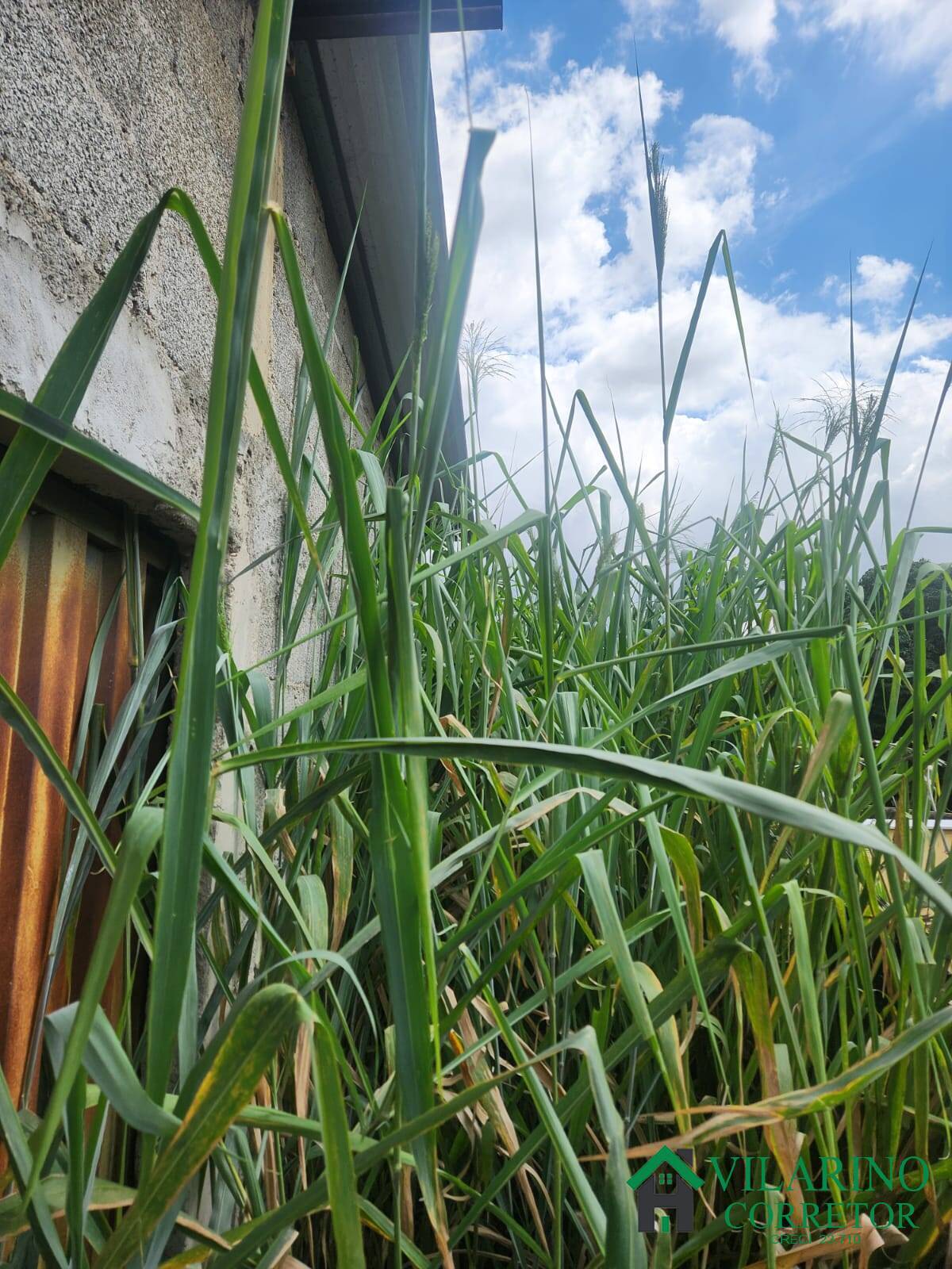 Terreno, 833 m² - Foto 8