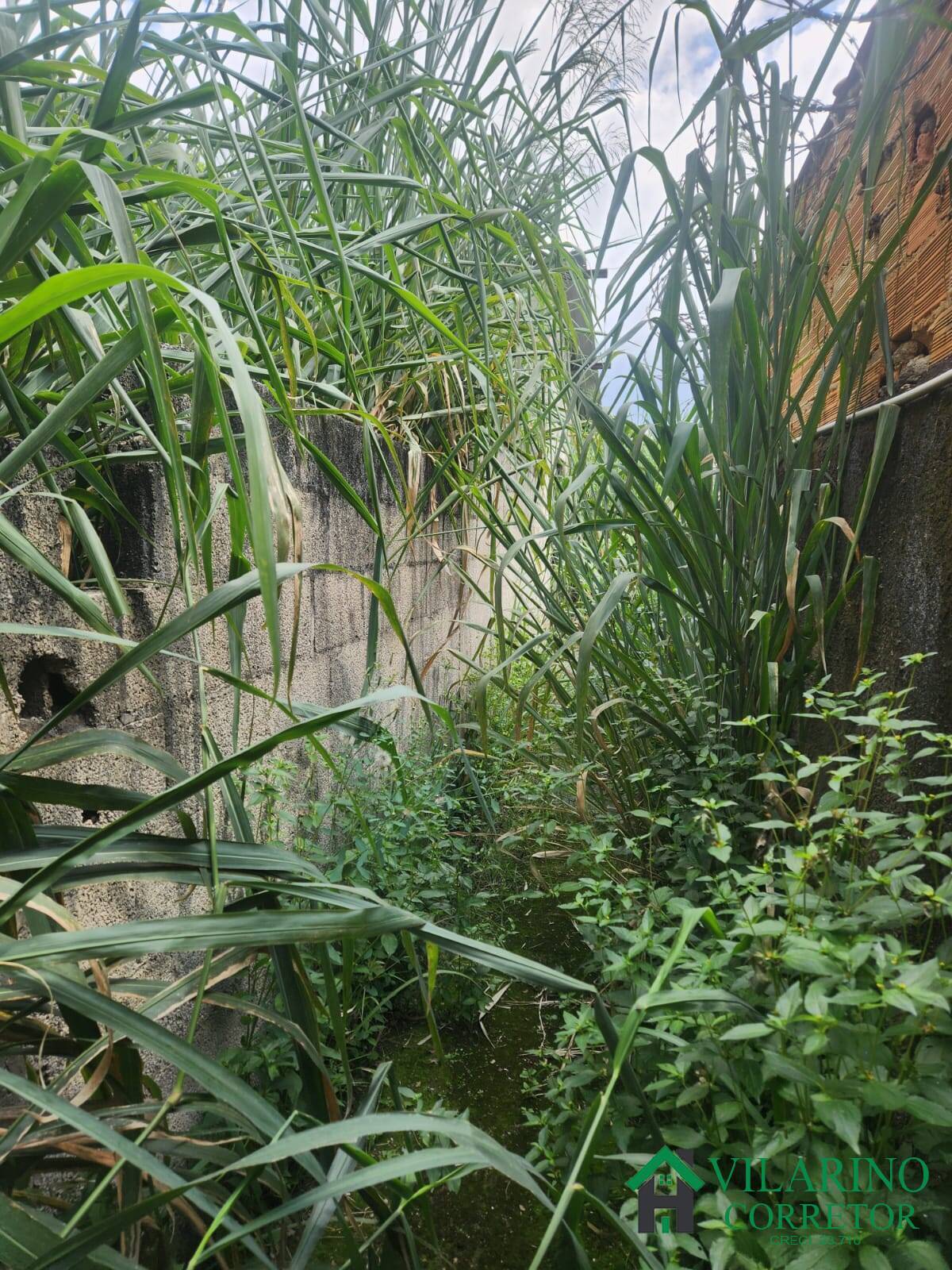 Terreno, 833 m² - Foto 10