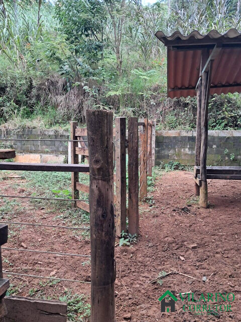 Sítio, 3 quartos, 15 hectares - Foto 19