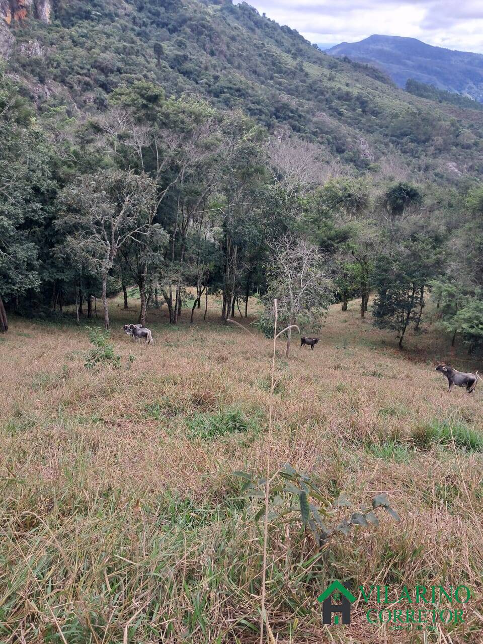 Sítio, 3 quartos, 15 hectares - Foto 25
