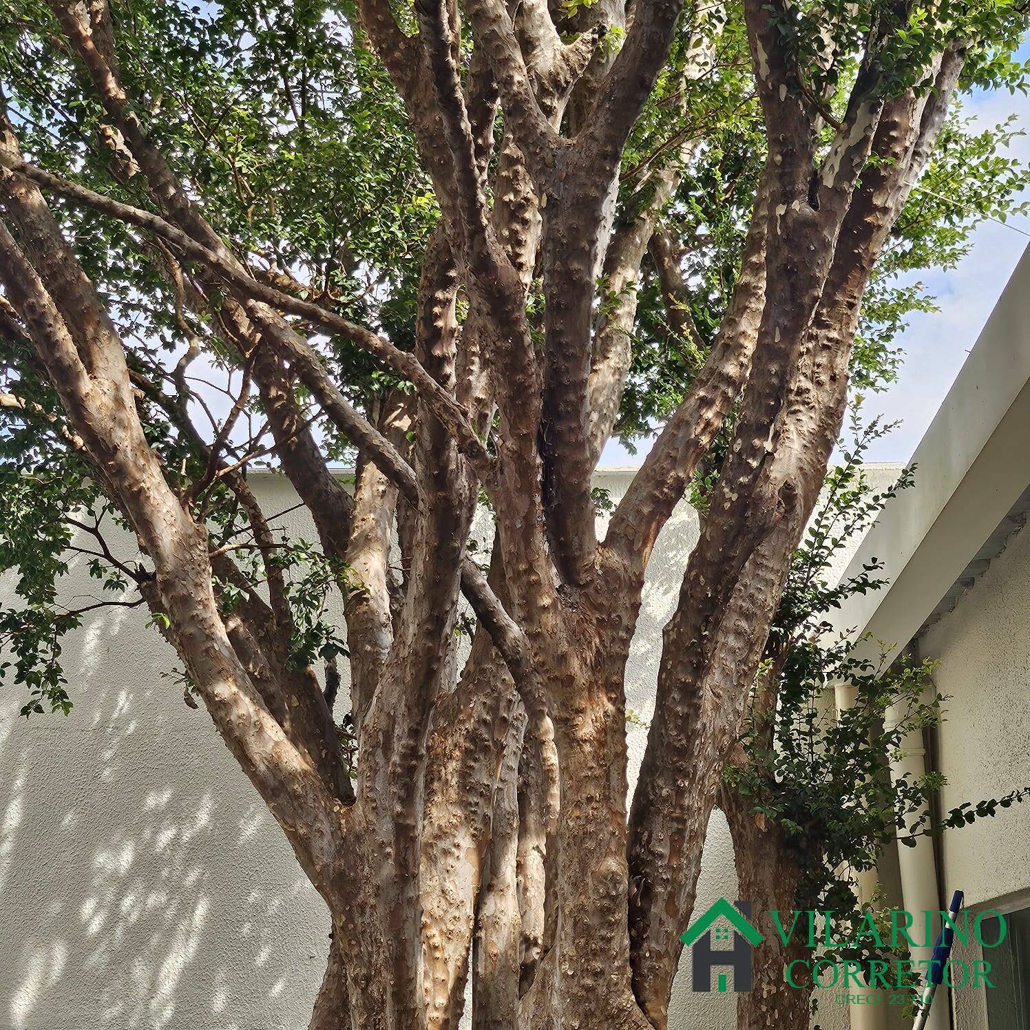 Apartamento, 3 quartos, 90 m² - Foto 23