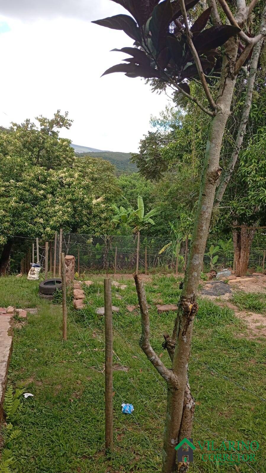 Sítio, 4 quartos, 1 hectares - Foto 25