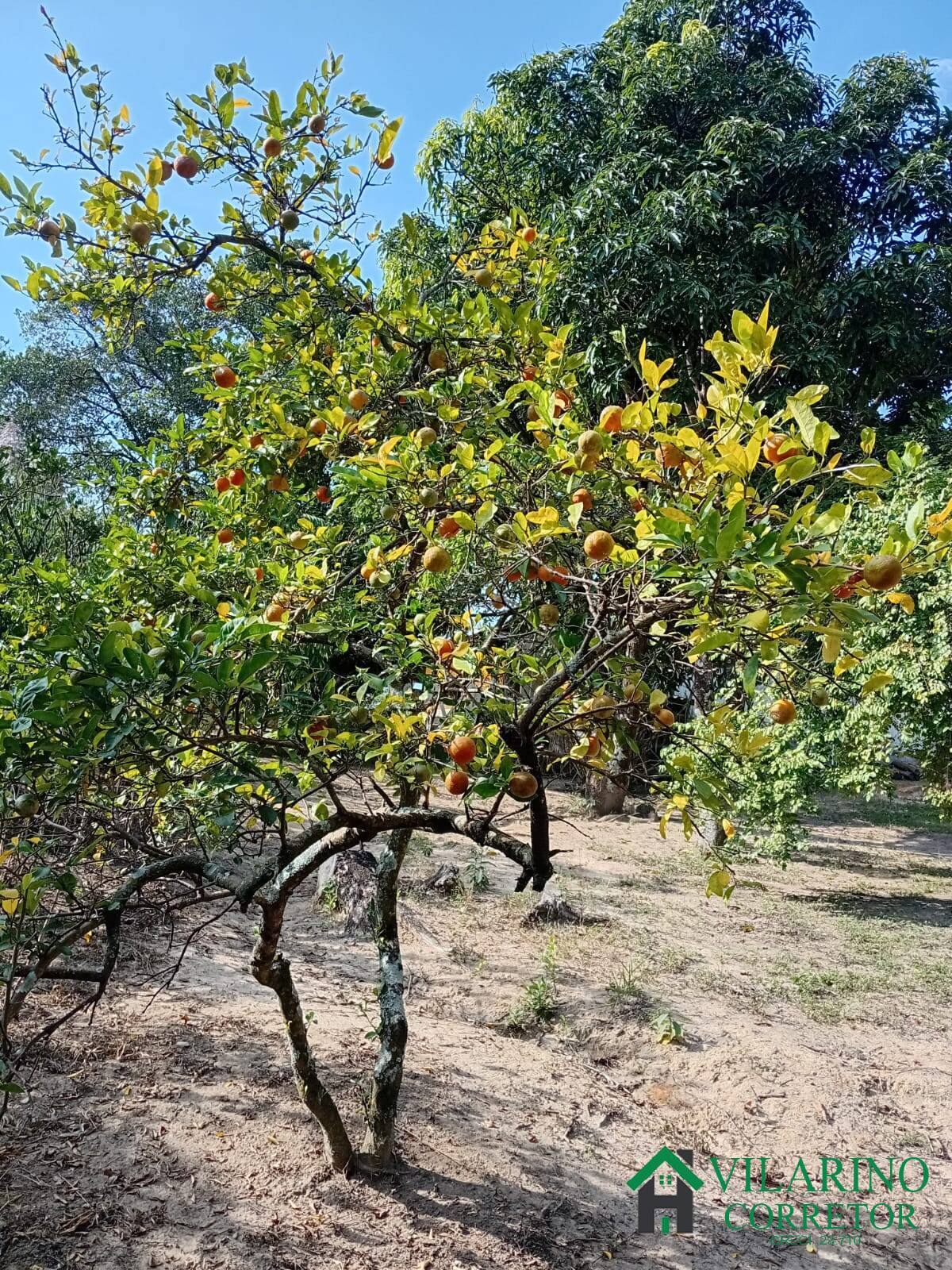 Foto 12
