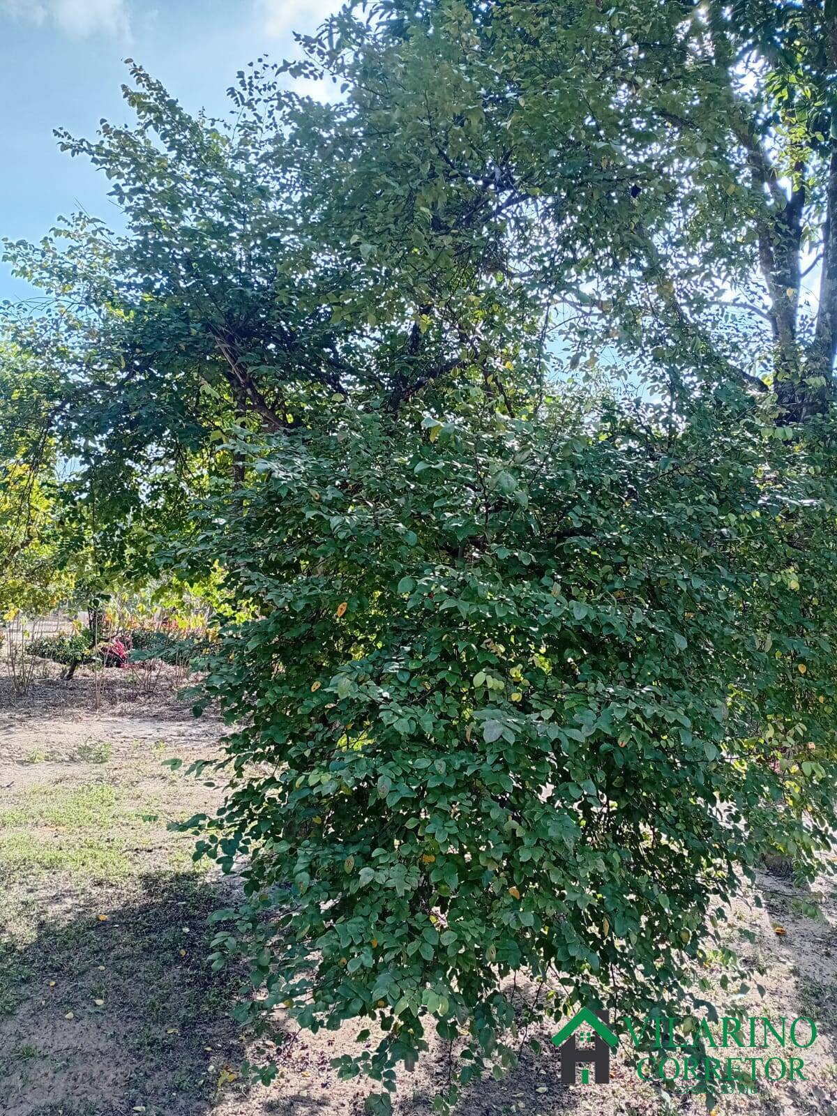 Foto 13