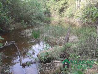 Fazenda, 450 m² - Foto 18