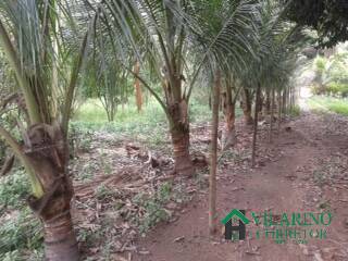 Fazenda, 450 m² - Foto 33