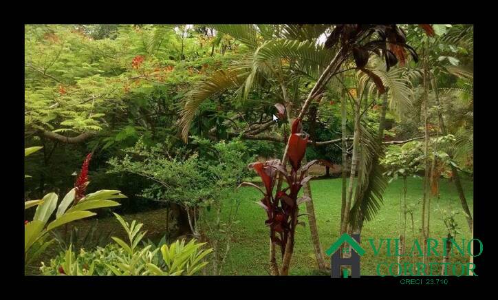 Sítio, 2 quartos, 100 m² - Foto 34