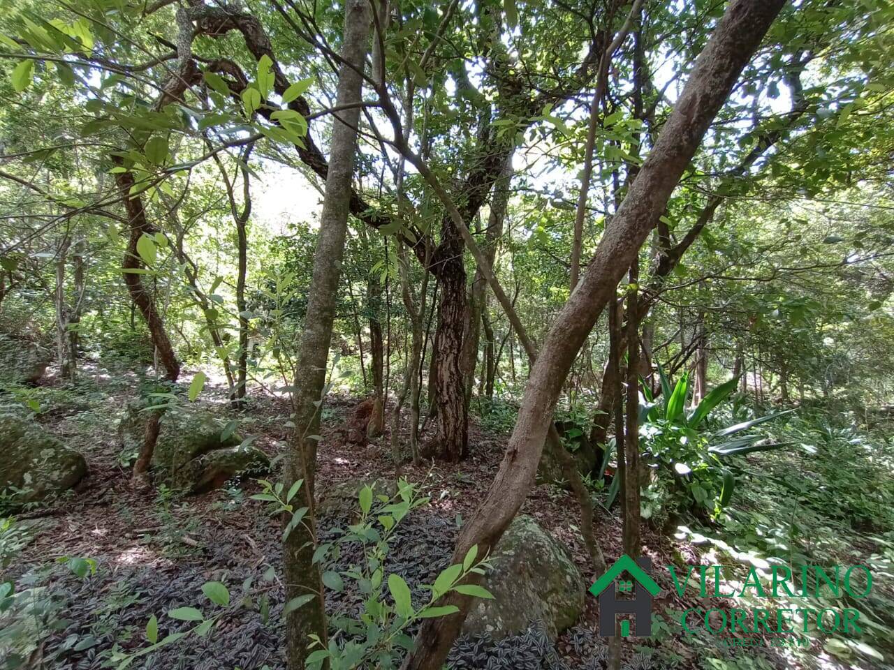 Sítio, 4 quartos - Foto 20