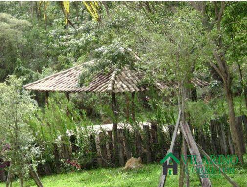 Sítio, 5 quartos, 3 hectares - Foto 29