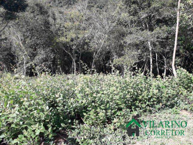 Terreno, 1096 m² - Foto 19