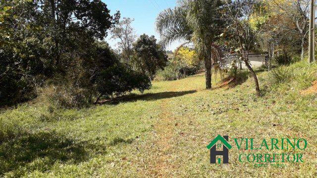 Fazenda, 8 hectares - Foto 3