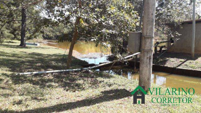 Fazenda, 8 hectares - Foto 4